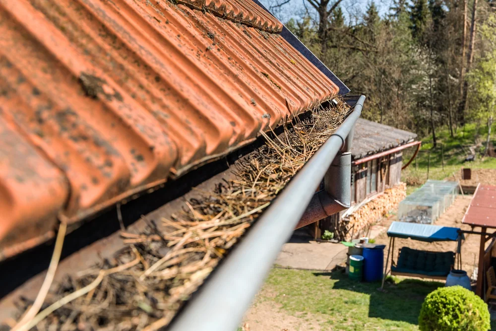Example photograph showing vegetation and debris in a gutter